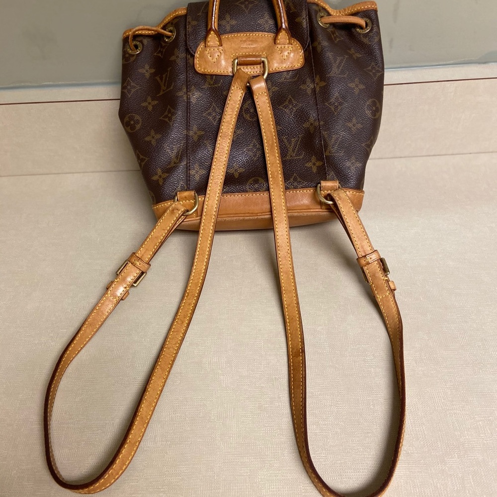 LV Mono Montsouris PM Backpack - Picture 8 of 16